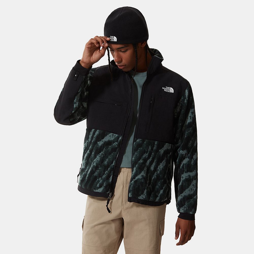 The North Face Fleece Jacket Mens Australia - The North Face Printed Denali 2 Green (CET-346108)